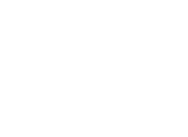 TonForce логотип